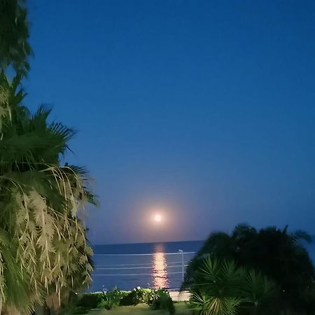 アヴォラ Il Mare Di Ciccioヴィラ エクステリア 写真